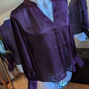 Banana Republic Rich Plum Blouse